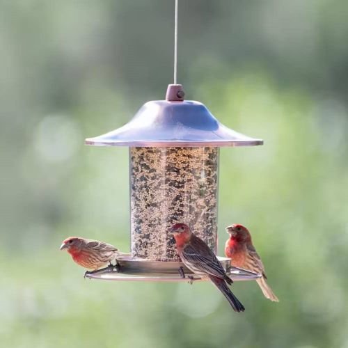 Copper Bird Feeder with Plastic Seed Reservoir Tube and Circular Perch - Image 3