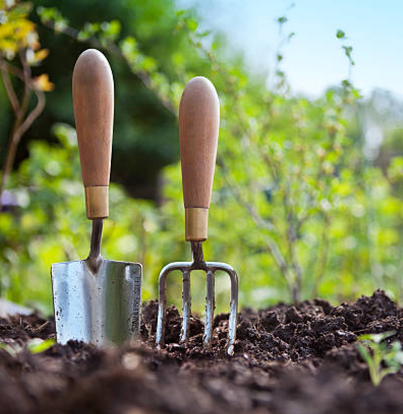 Garden Tools & Equipment