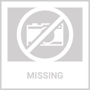 4-Ft Indoor Outdoor Black Metal Firewood Holder Log Rack with Cover